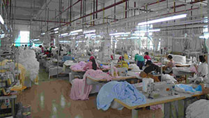 精梳工序 精梳工序